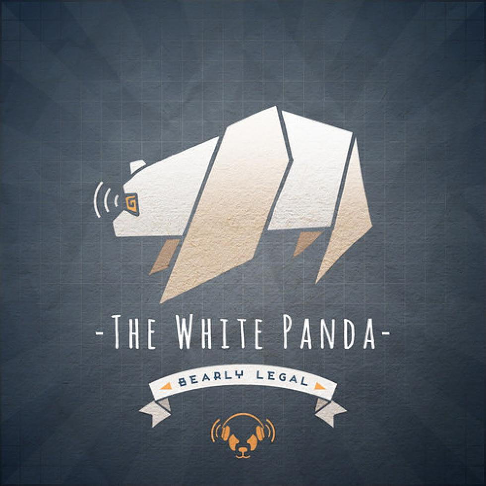 The White Panda &#8216;Bearly Legal&#8217;