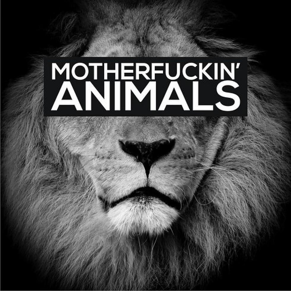 Martin Garrix &#8220;Animals&#8221; @@ Remix