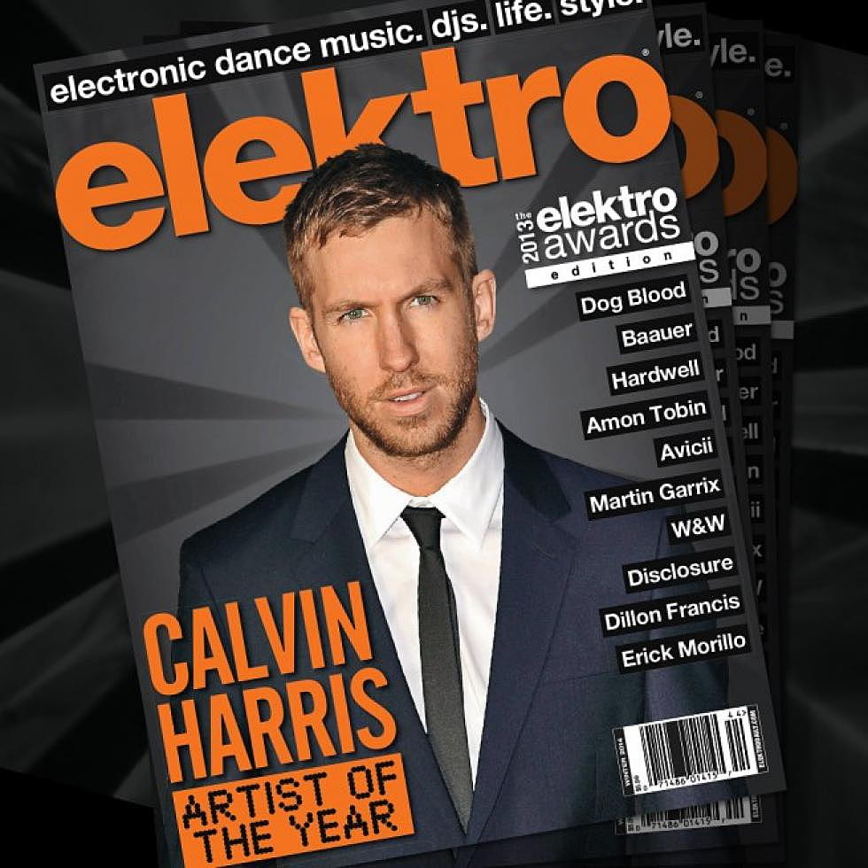 The 2013 elektro Awards Roundup