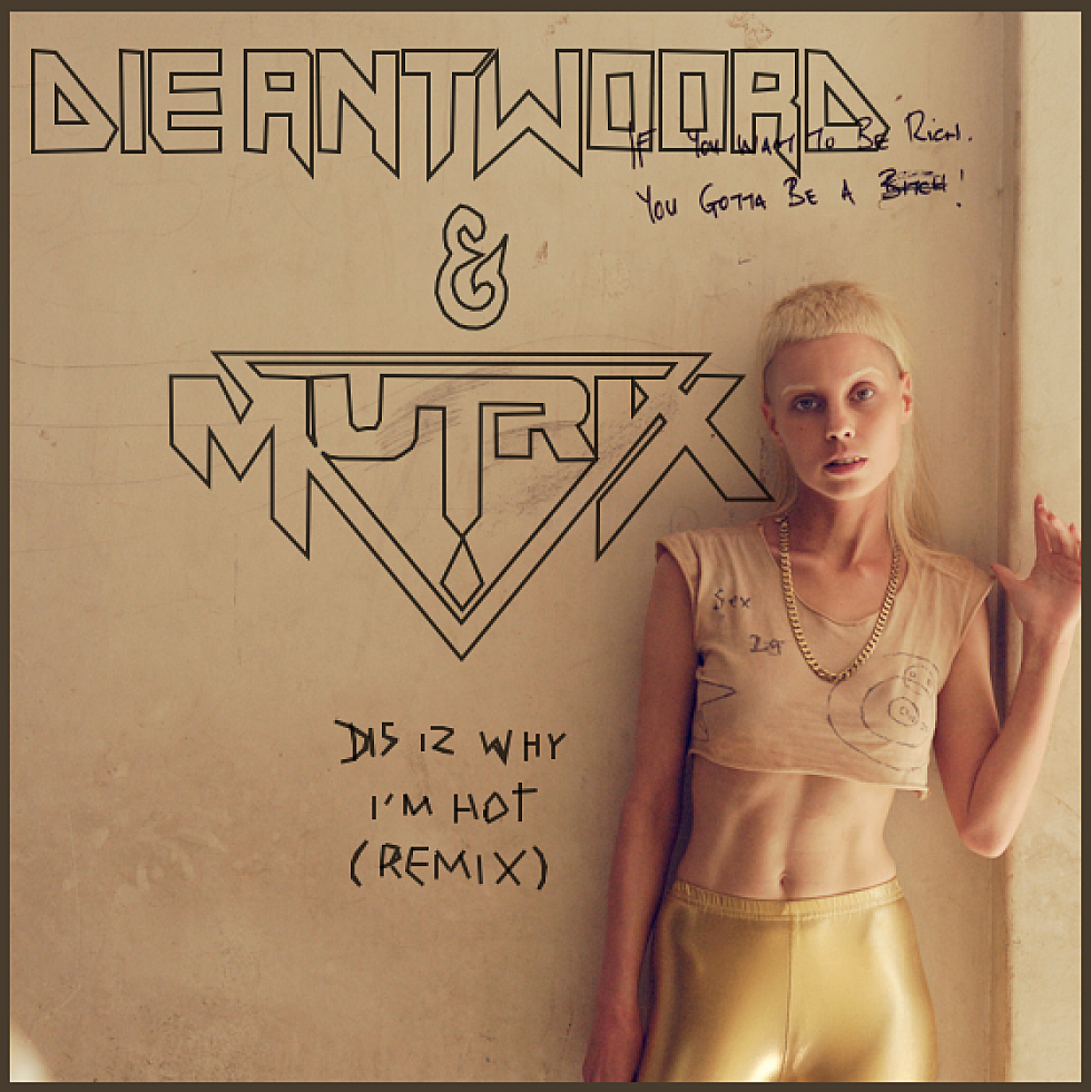 Die Antwoord &#8220;Dis Iz Why I&#8217;m Hot&#8221; Mutrix Remix