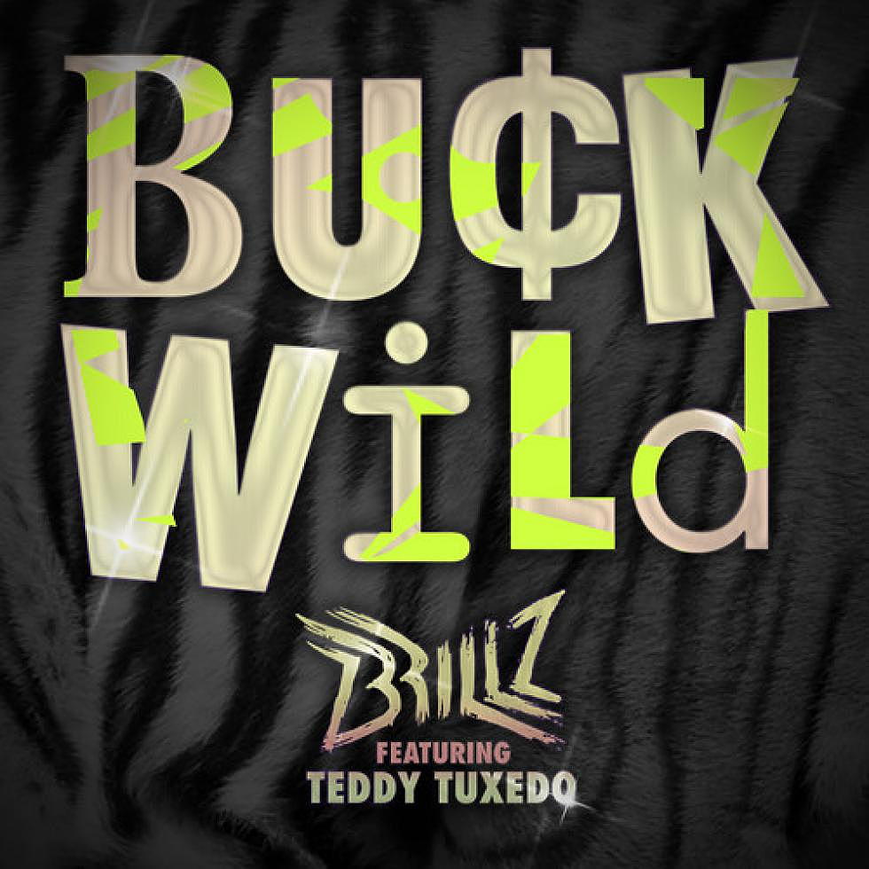 Brillz feat TeddyTuxedo &#8220;BuckWild&#8221; Free Download