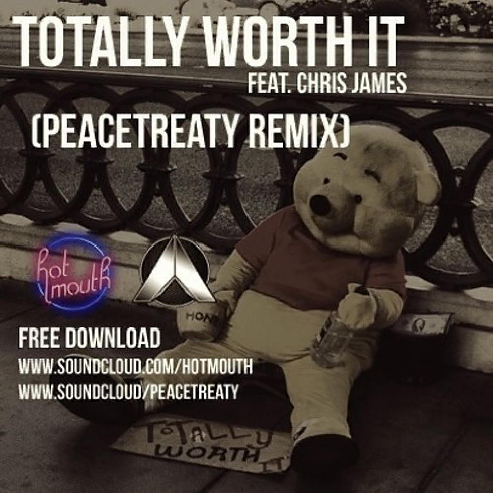 Hot Mouth Ft. Chris James &#8220;Totally Worth It&#8221; PeaceTreaty Remix Free Download