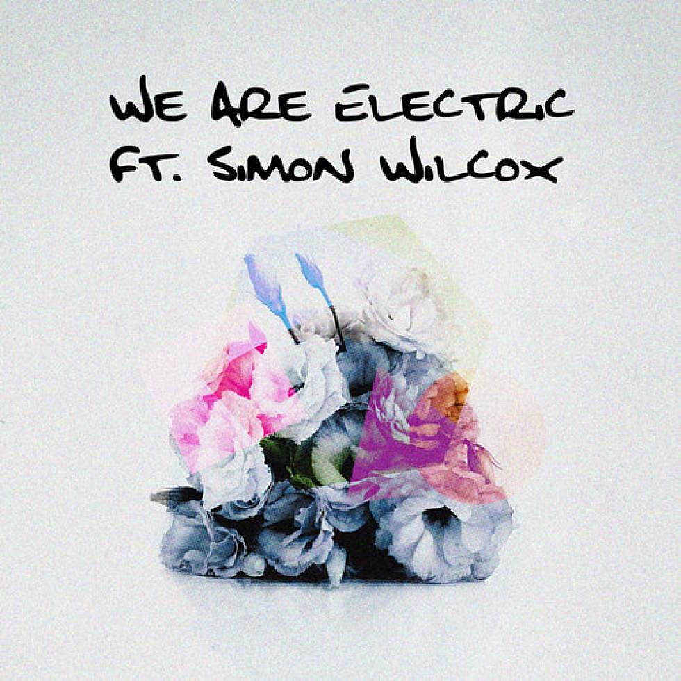 DVBBS ft. Simon Wilcox &#8220;We Are Electric&#8221;