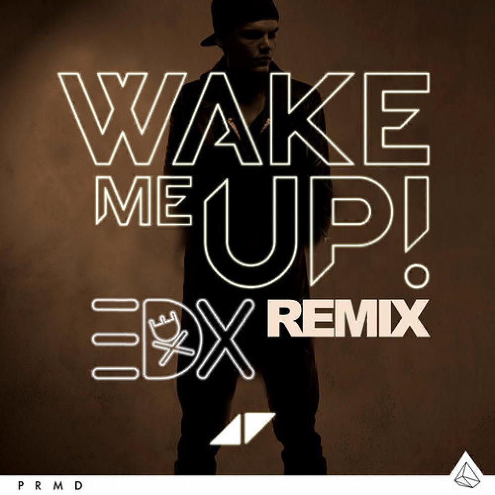 Avicii ft. Aloe Blacc &#8220;Wake Me Up&#8221; EDX Remix Preview