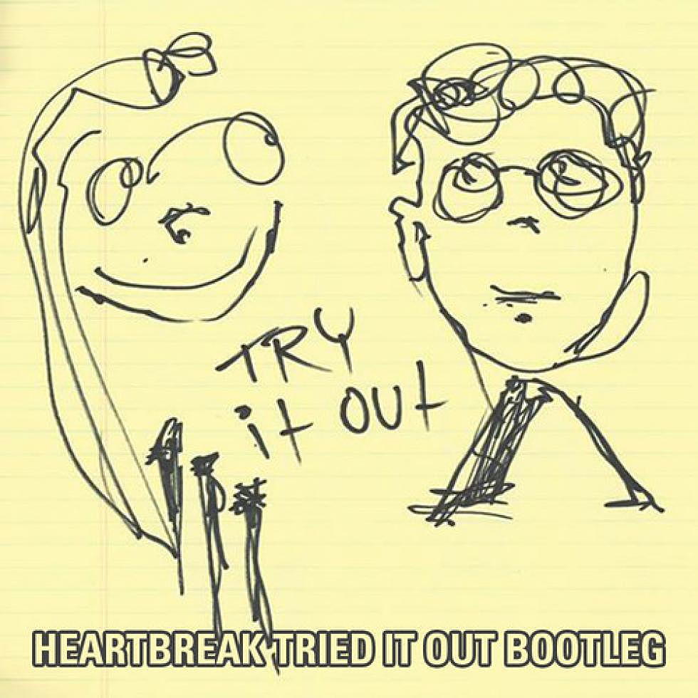 Alvin Risk and Skrillex &#8220;Try It Out&#8221; David Heartbreak &#8220;I Tried It Out&#8221; Bootleg