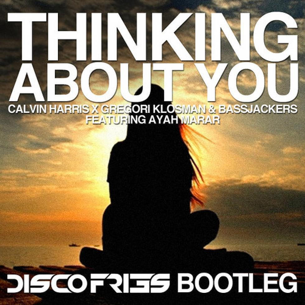 The Disco Fries &#8220;Thinking About You&#8221; Bootleg